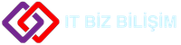 IT BİZ BİLİŞİM